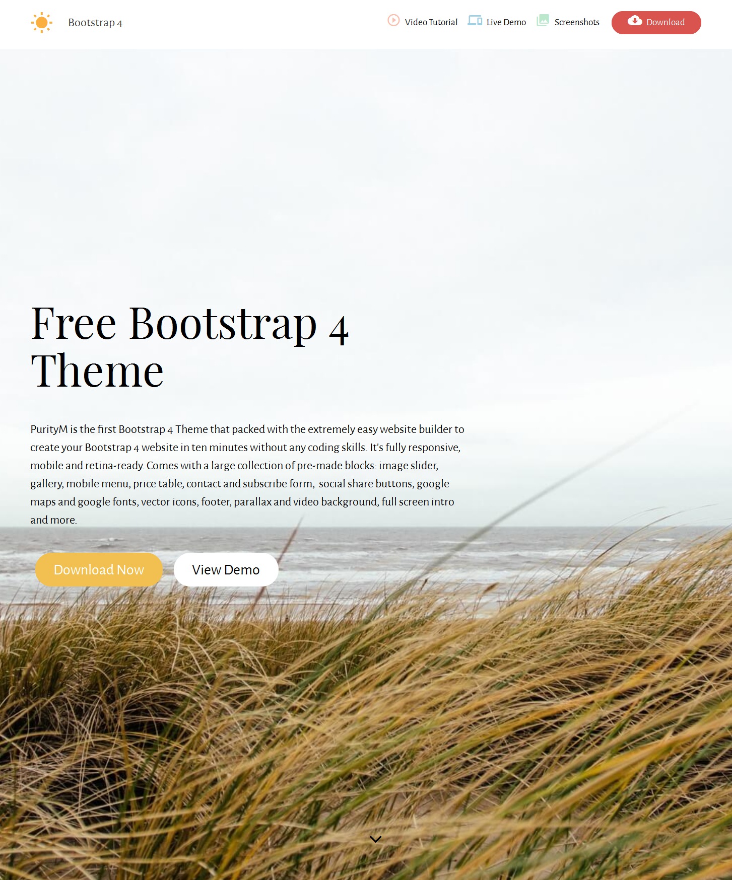 Free Bootstrap Simple Theme